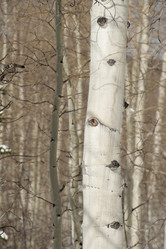 Similar image 8028095