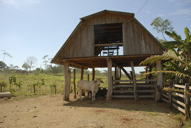 Similar image 8028102