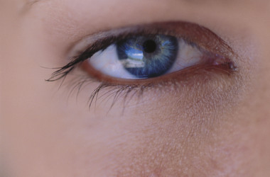 Similar image 8028103