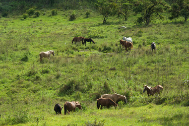 Similar image 8028109