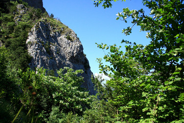 Similar image 8028119