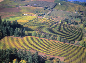 Similar image 8028121