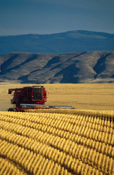 Similar image 8028122