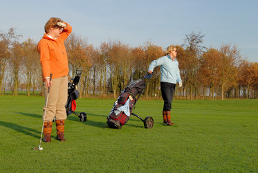 Similar image 8028128