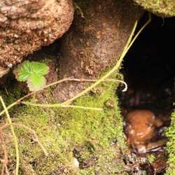 Similar image 8028132