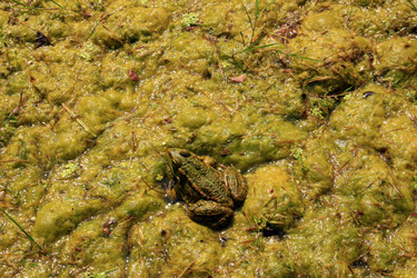 Similar image 8028133