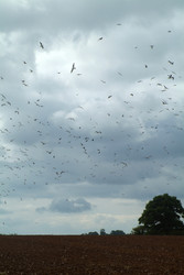 Similar image 8028134