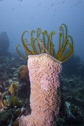 Similar image 8028139