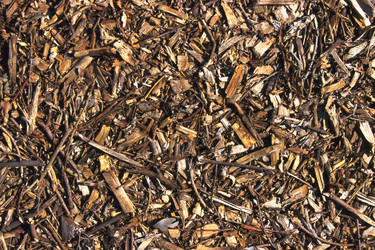 Similar image 8028141