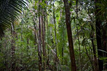 Similar image 8029574