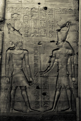 Similar image 8029576