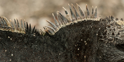 Similar image 8029584