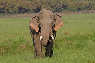 Similar image 8029587