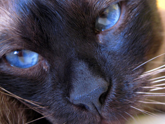 Similar image 8029592