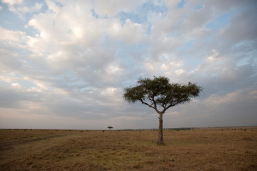 Similar image 8029594