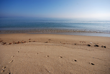 Similar image 8029599