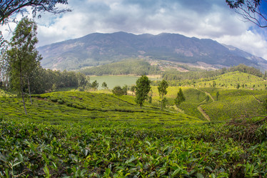 Similar image 8029600