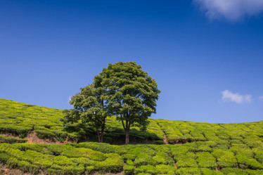 Similar image 8029601