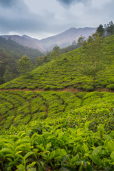 Similar image 8029604