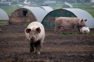 Similar image 8029605