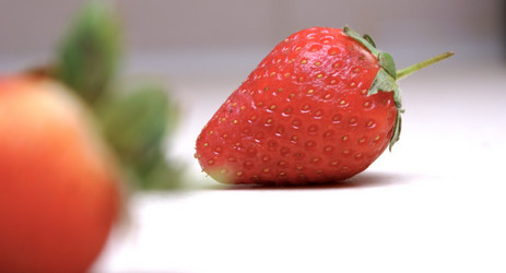 Similar image 8029610