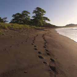 Similar image 8029617