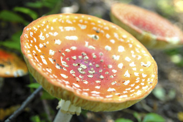 Similar image 8031287