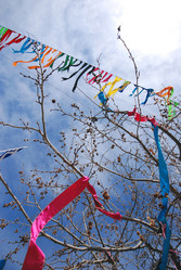 Similar image 8031291