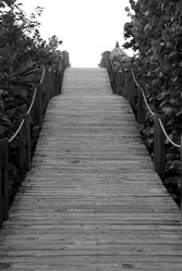 Similar image 8031302