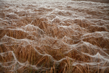 Similar image 8031313