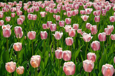 Similar image 8031316