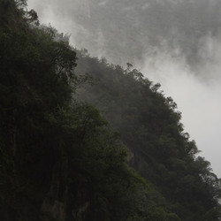 Similar image 8031347