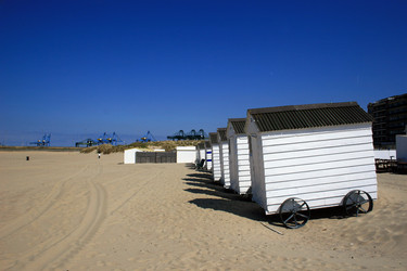 Similar image 8031351