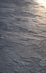 Similar image 8031353