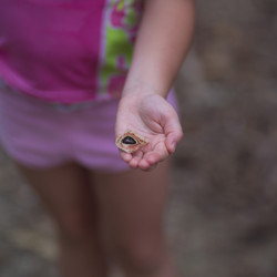 Similar image 8031360