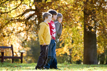 Similar image 8031365