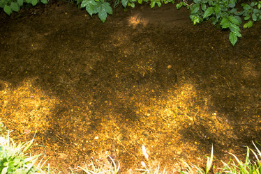 Similar image 8031367