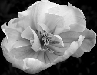 Similar image 8031369