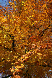 Similar image 8031383