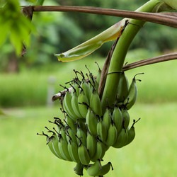 Similar image 8031390