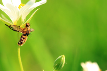 Similar image 8031392