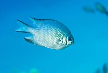 Similar image 8031400