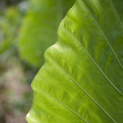 Similar image 8031421