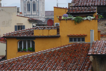 Similar image 8031428