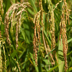 Similar image 8031449