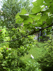 Similar image 8031451