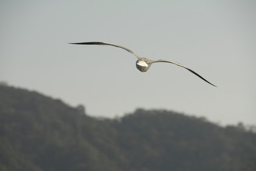 Similar image 8031470