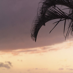 Similar image 8031471