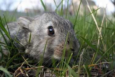 Similar image 8031474