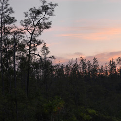 Similar image 8031478